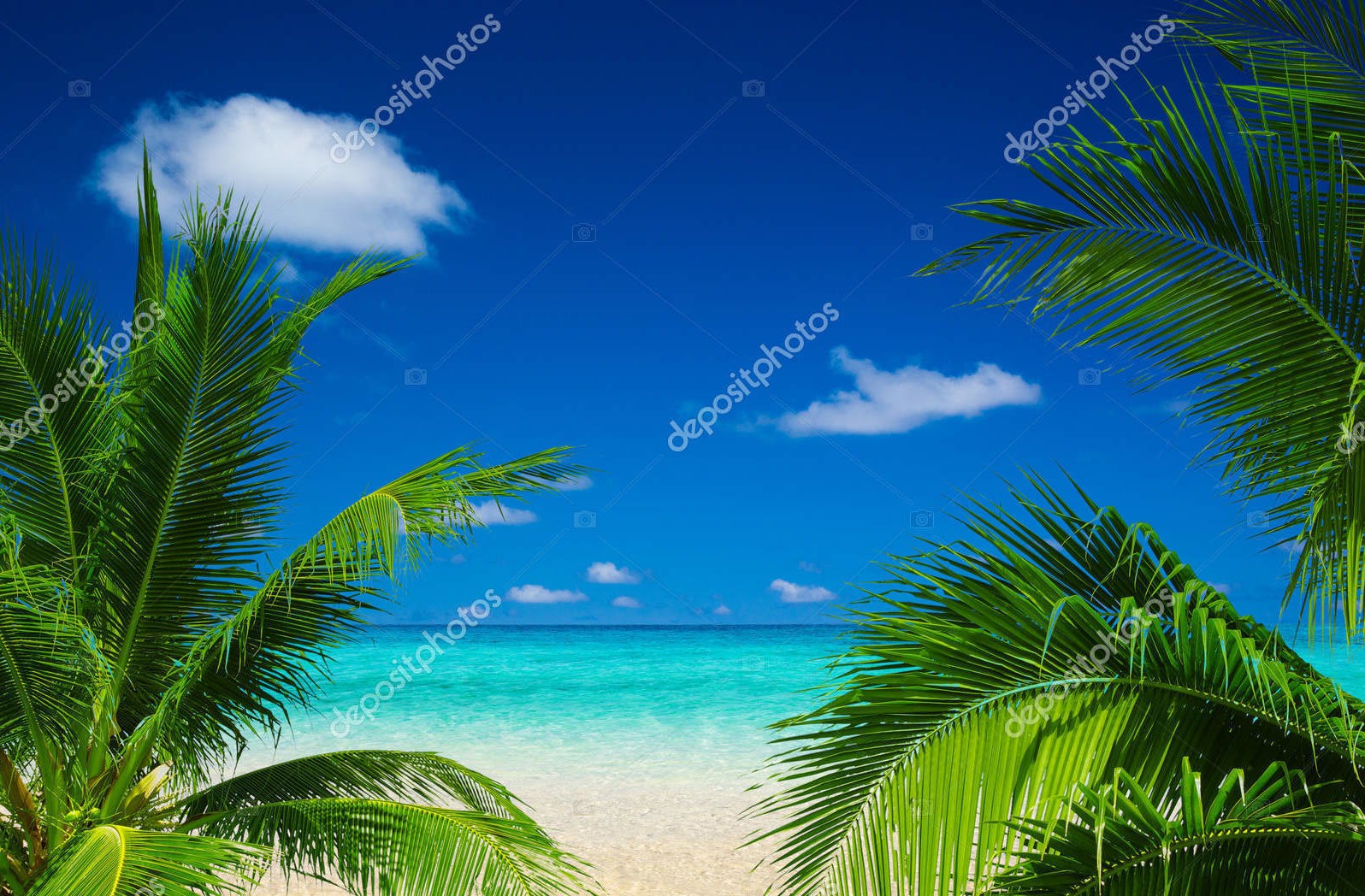 Тропический пляж, Мальдивы