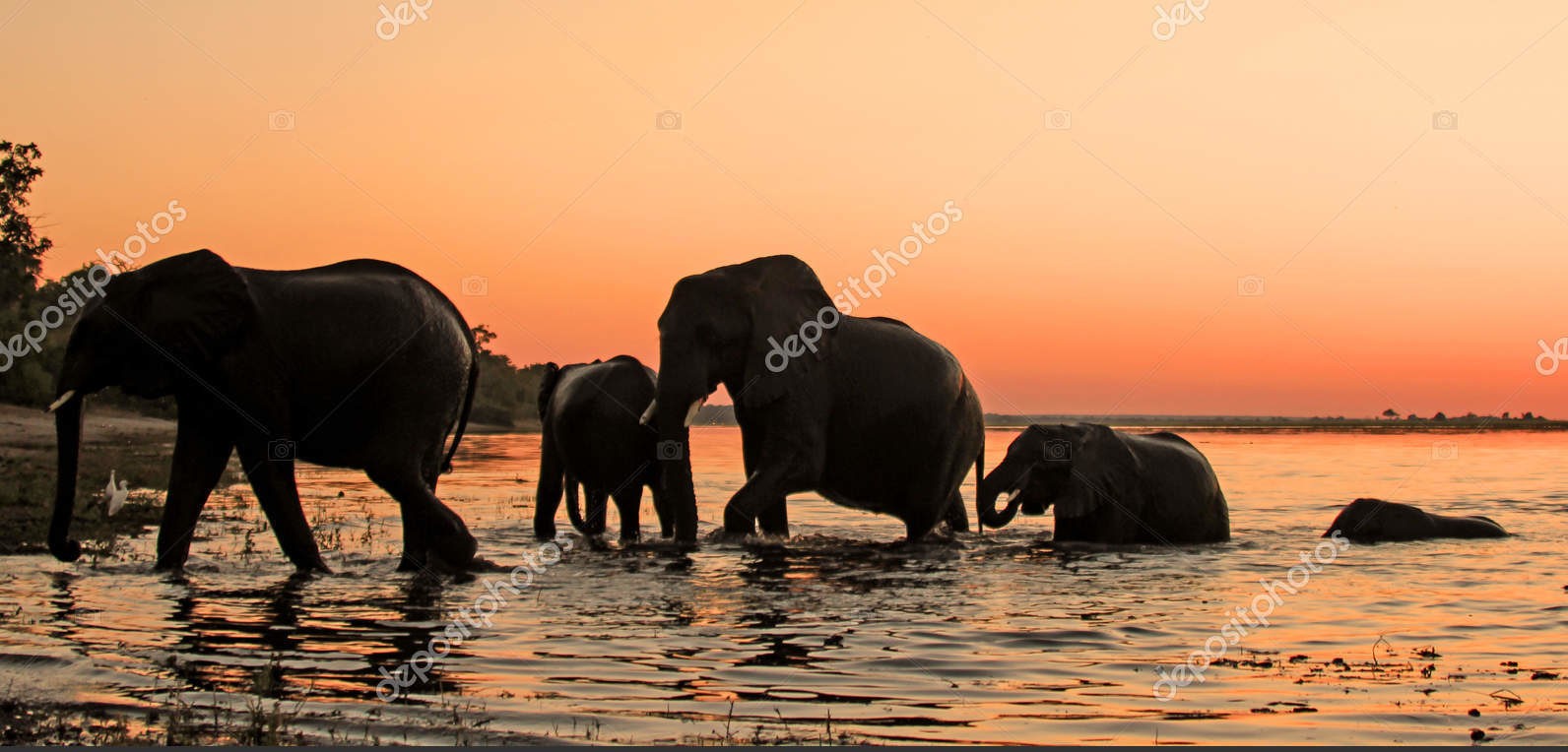 Силуэты слонов, Ботсвана